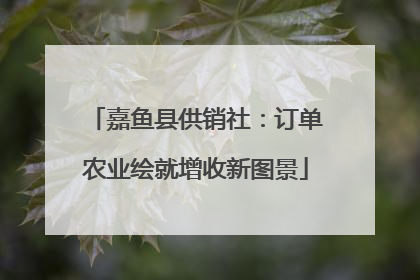 嘉鱼县供销社：订单农业绘就增收新图景
